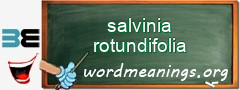 WordMeaning blackboard for salvinia rotundifolia